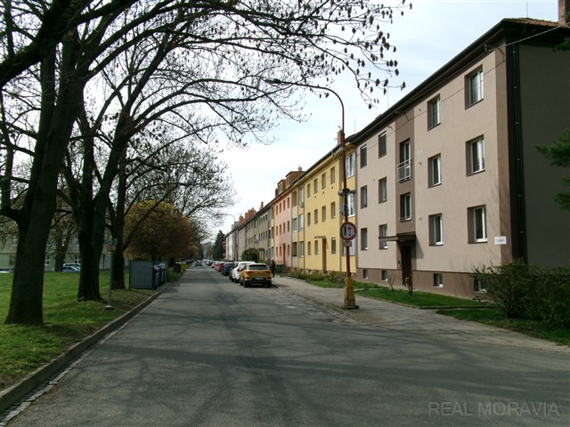 ulice před domem [17/36]