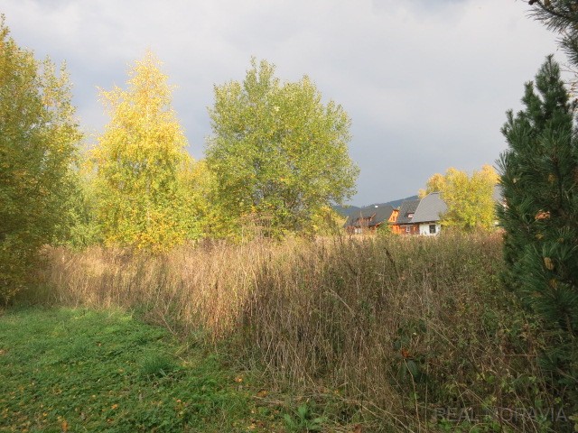 foto 7 [10/17]