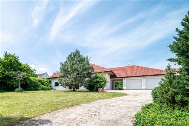 čelní pohled [10/89]